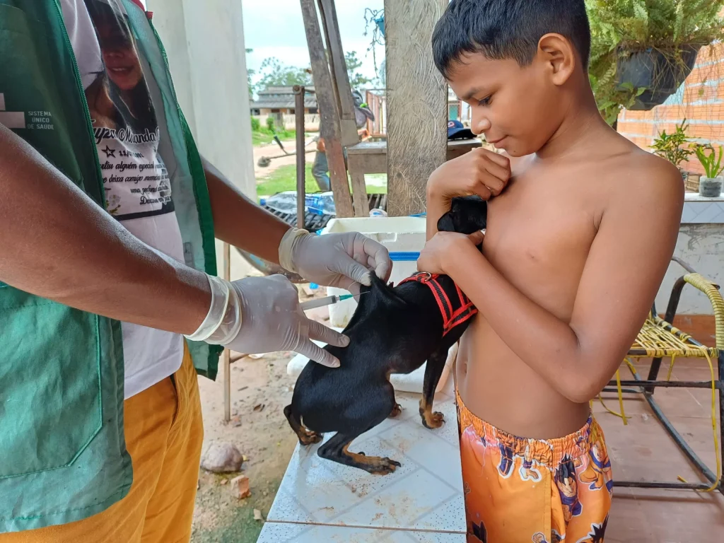 Campanha de vacinação antirrábica em Barreirinha