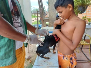 Campanha de vacinação antirrábica em Barreirinha