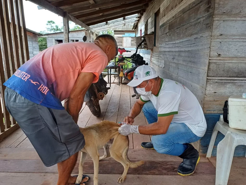 Campanha de vacinação antirrábica em Barreirinha
